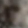 foto do perfil user2502